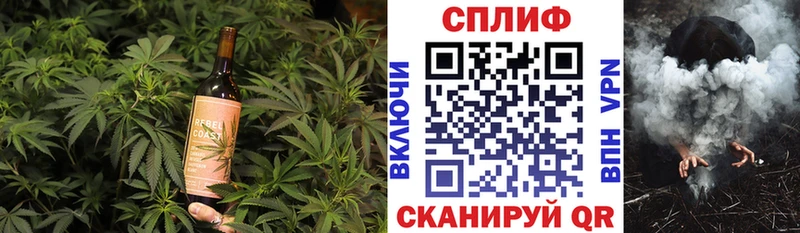 Купить  Сунжа  Печенье с ТГК конопля 