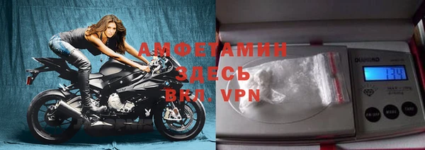 молекула духа Няндома