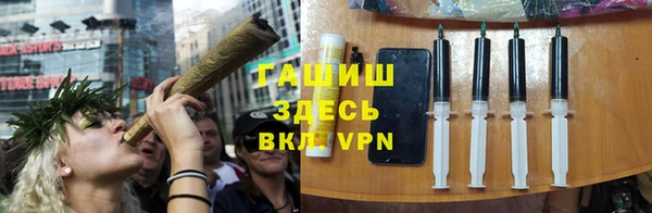 индика Нягань