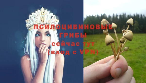 МДПВ Нязепетровск
