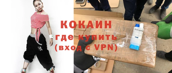 индика Нягань