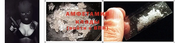 индика Нягань