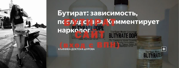 индика Нягань