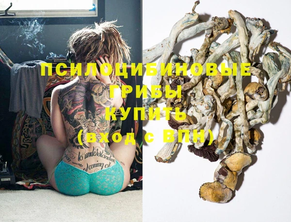 индика Нягань