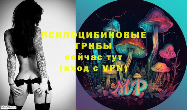 индика Нягань