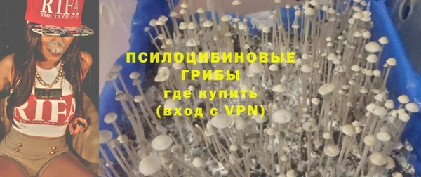 индика Нягань