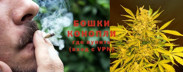 молекула духа Няндома