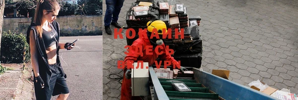 молекула духа Няндома