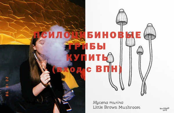 молекула духа Няндома