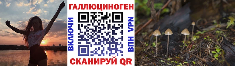 Псилоцибиновые грибы Magic Shrooms  Купить  Сунжа 